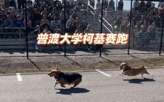 星空体育官方网站-哥伦比亚选手勇夺亚军