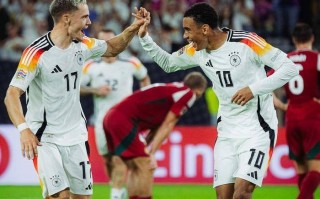 星空体育官网-荷兰队遭逢不敌北爱尔兰，欧预赛形势严峻