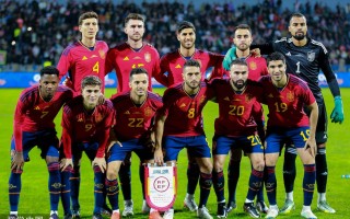 星空体育官网入口-西班牙队遭遇失利，面临出局危机