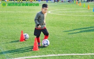 星空体育app-多特蒙德青训培养出实力新星，球队未来可期