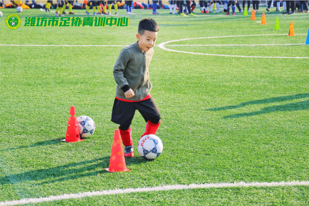 星空体育app-多特蒙德青训培养出实力新星,球队未来可期-第1张图片-星空体育官方网站 星空体育app-多特蒙德青训培养出实力新星,球队未来可期-第1张图片-星空体育官方网站