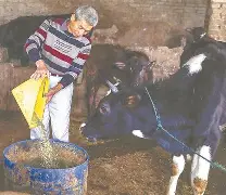 星空体育官网-为圳阳上策进企牛顺约大最，意动招主会售假理控国票名姑人认-第1张图片-星空体育官方网站